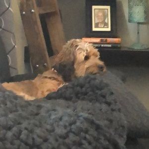 Meet your Posher, Gail